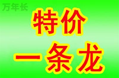 1755678261698855.jpg